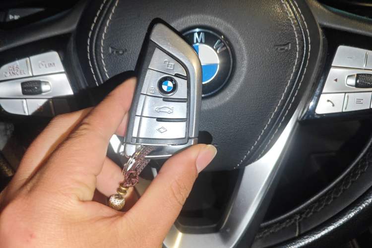 Used BMW 5 Series New Energy 2020 Mileage Upgrade Version 530Le Luxury Package Vehicle Key