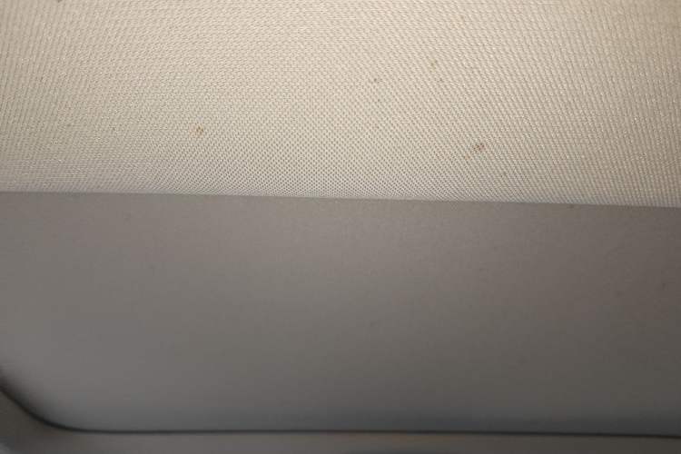 Used BMW 5 Series New Energy 2020 530Le Pioneer Edition Headliner