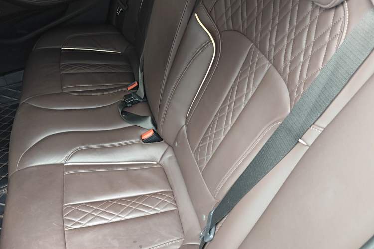Used BMW 5 Series New Energy 2020 530Le Pioneer Edition Left Rear Seat