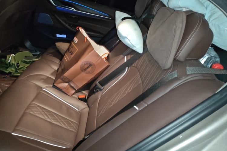 Used BMW 5 Series New Energy 2020 Mileage Upgrade Version 530Le Luxury Package Left Rear Seat