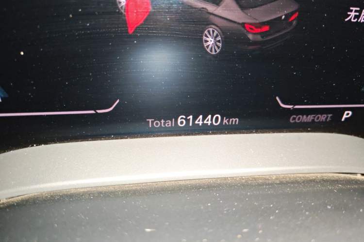 Used BMW 5 Series New Energy 2020 Mileage Upgrade Version 530Le Luxury Package Odometer Close Up