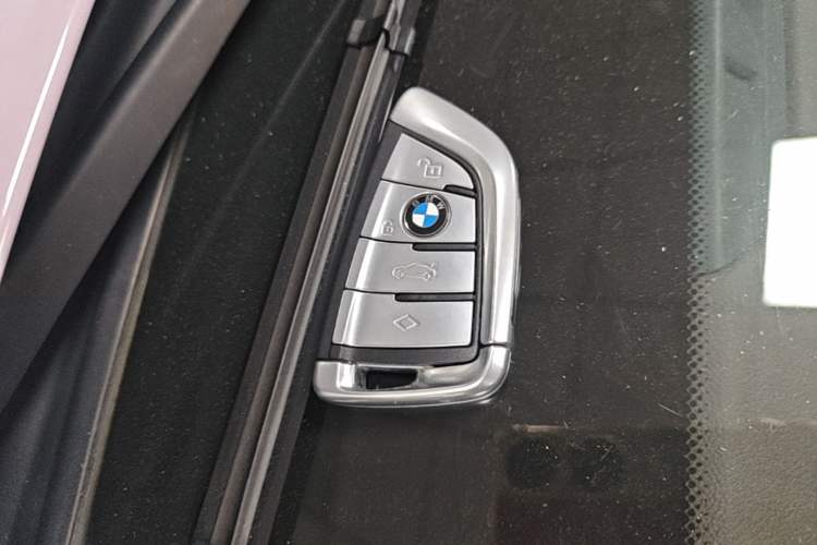 Used BMW 5 Series New Energy 2020 Mileage Upgrade Version 530Le Luxury Package Interior 1