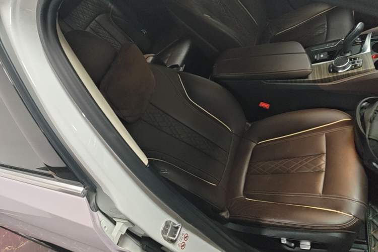 Used BMW 5 Series New Energy 2020 Mileage Upgrade Version 530Le Luxury Package Right Front Seat