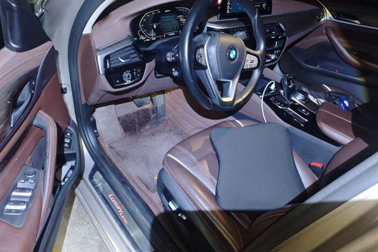 Used BMW 5 Series New Energy 2020 530Le Luxury Package Driver Seat