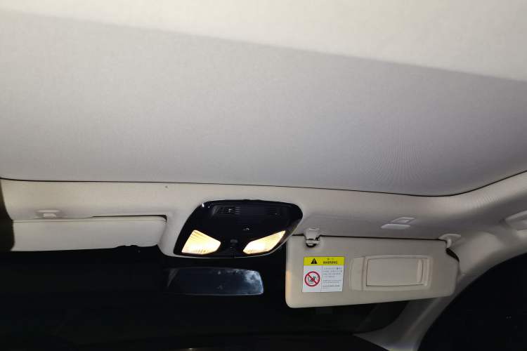 Used BMW 5 Series New Energy 2020 Mileage Upgrade Version 530Le Luxury Package Headliner