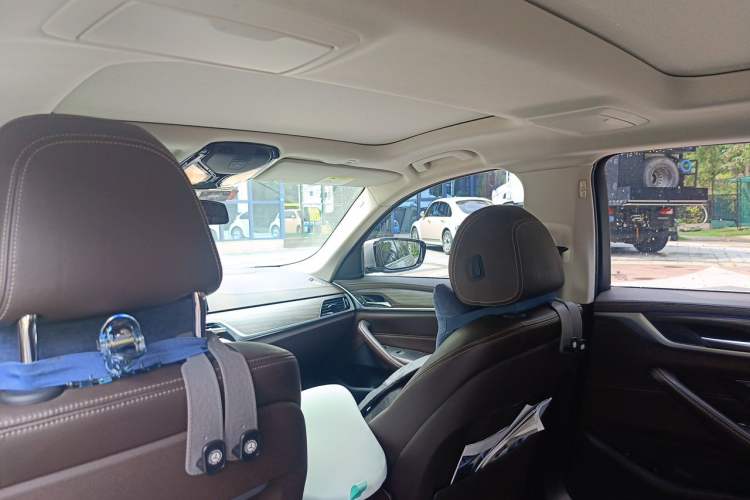 Used BMW 5 Series New Energy 2020 530Le Luxury Package Headliner