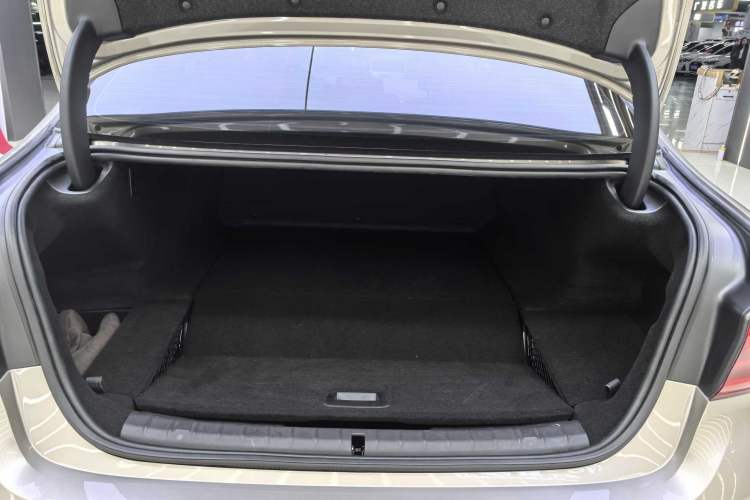 Used BMW 5 Series New Energy 2020 Mileage Upgrade Version 530Le Luxury Package Interior 6