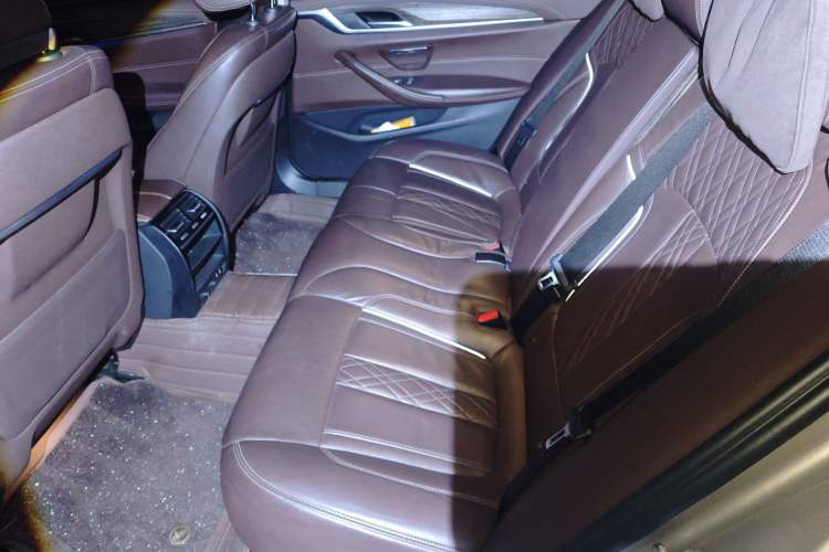 Used BMW 5 Series New Energy 2020 530Le Luxury Package Left Rear Seat