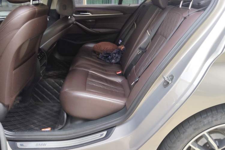 Used BMW 5 Series New Energy 2020 530Le Luxury Package Left Rear Seat
