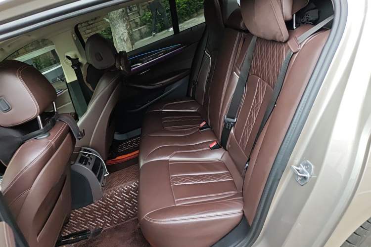 Used BMW 5 Series New Energy 2020 530Le Luxury Package Left Rear Seat