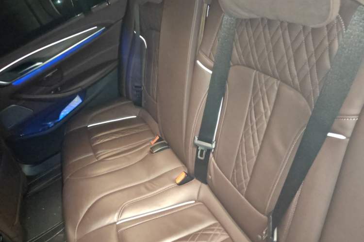 Used BMW 5 Series New Energy 2020 530Le Pioneer Edition Left Rear Seat