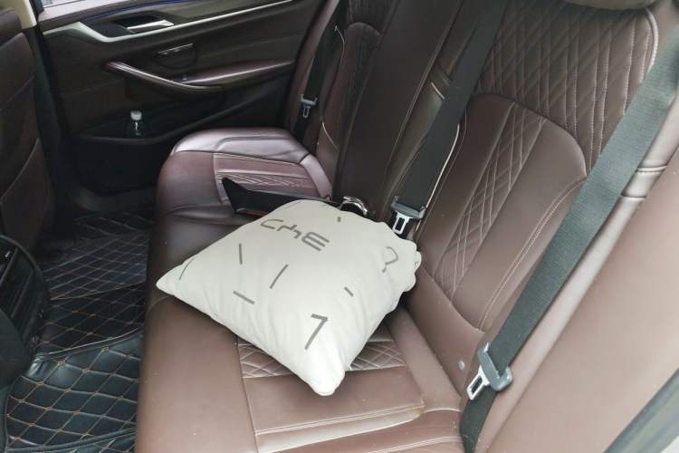 Used BMW 5 Series New Energy 2020 Mileage Upgrade Version 530Le Luxury Package Left Rear Seat