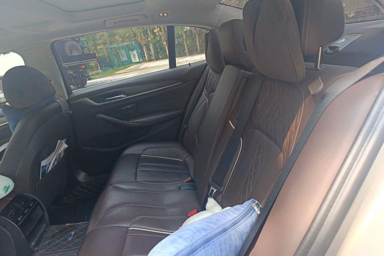 Used BMW 5 Series New Energy 2020 530Le Luxury Package Left Rear Seat