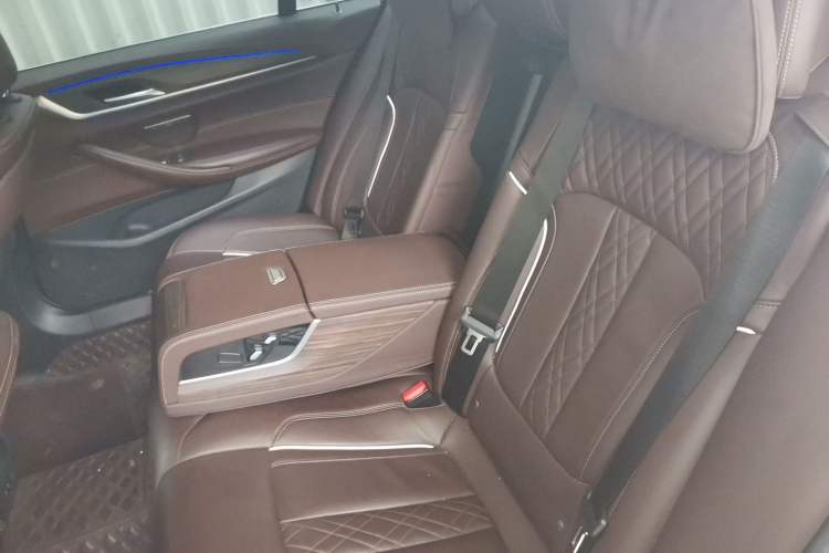 Used BMW 5 Series New Energy 2020 Mileage Upgrade Version 530Le Luxury Package Left Rear Seat