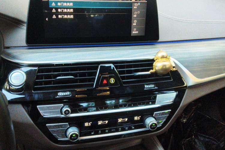 Used BMW 5 Series New Energy 2020 Mileage Upgrade Version 530Le Luxury Package Audio And AC Panel