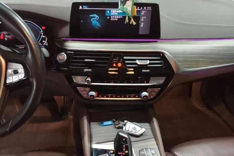 Used BMW 5 Series New Energy 2020 Mileage Upgrade Version 530Le Pioneer Edition Audio And AC Panel