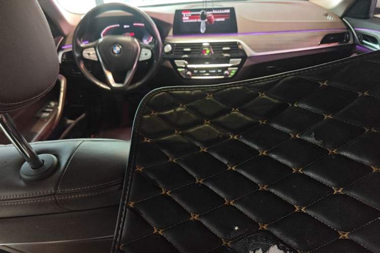 Used BMW 5 Series New Energy 2020 Mileage Upgrade Version 530Le Luxury Package Center Console