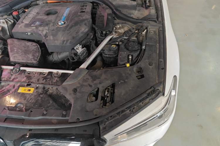Used BMW 5 Series New Energy 2020 Mileage Upgrade Version 530Le Luxury Package Engine Bay Left
