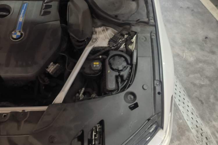 Used BMW 5 Series New Energy 2020 530Le Luxury Package Engine Bay Left