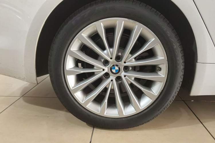 Used BMW 5 Series New Energy 2020 Mileage Upgrade Version 530Le Luxury Package Exterior 5