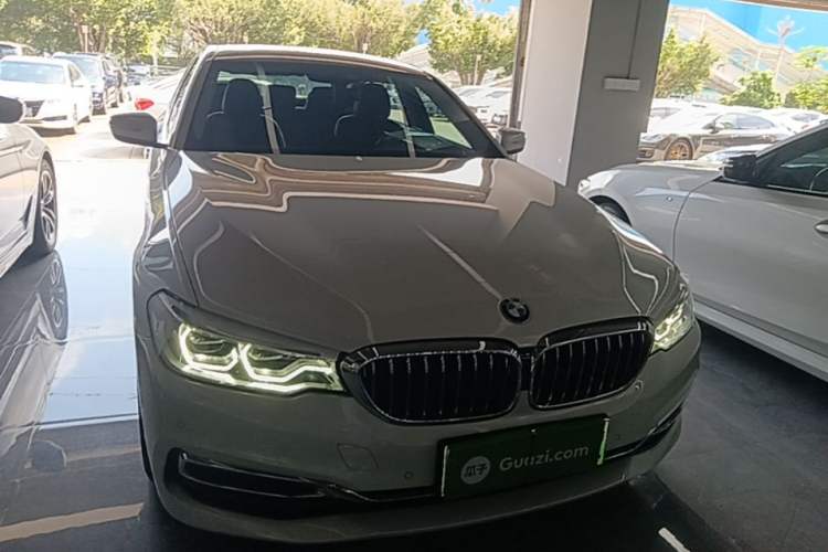 Used BMW 5 Series New Energy 2020 Mileage Upgrade Version 530Le Luxury Package Front