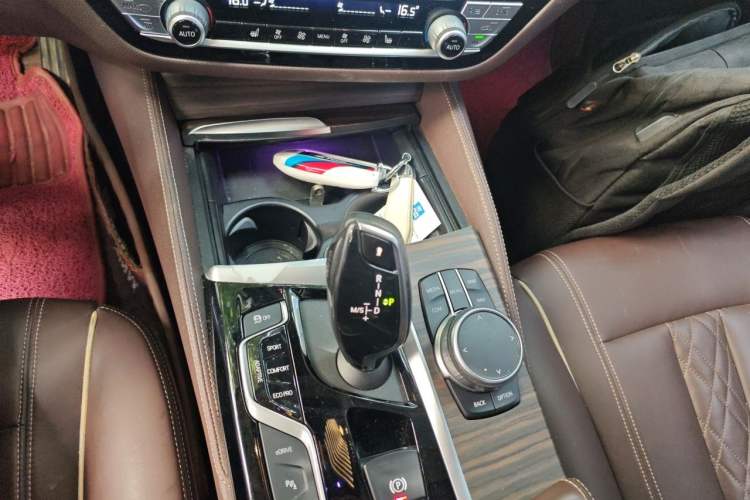 Used BMW 5 Series New Energy 2020 Mileage Upgrade Version 530Le Luxury Package Gear Lever