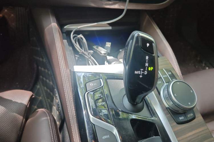 Used BMW 5 Series New Energy 2020 Mileage Upgrade Version 530Le Pioneer Edition Gear Lever