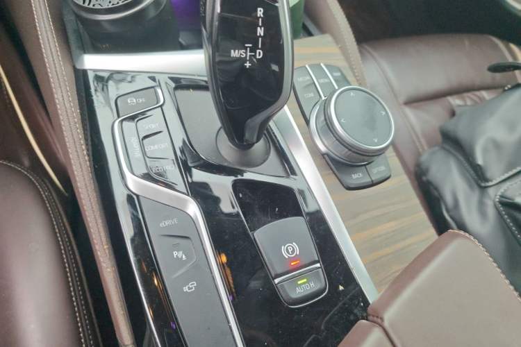 Used BMW 5 Series New Energy 2020 Mileage Upgrade Version 530Le Luxury Package Gear Lever