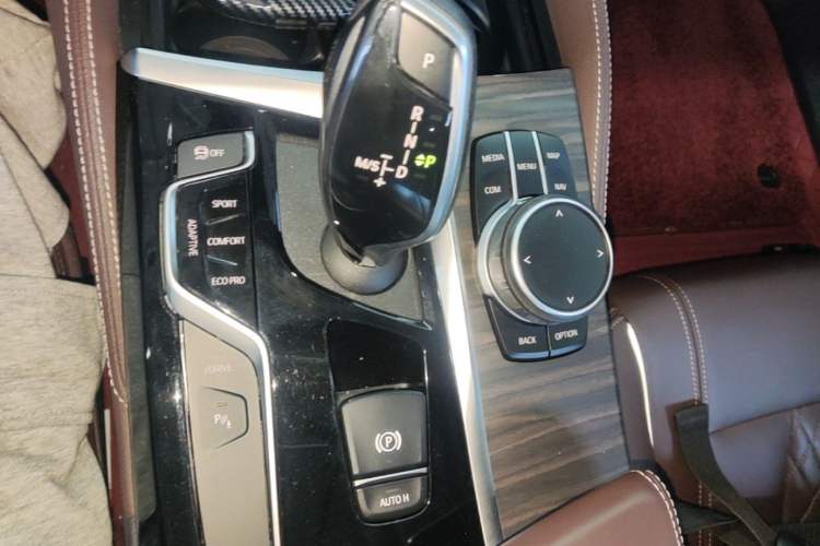 Used BMW 5 Series New Energy 2020 Mileage Upgrade Version 530Le Luxury Package Gear Lever