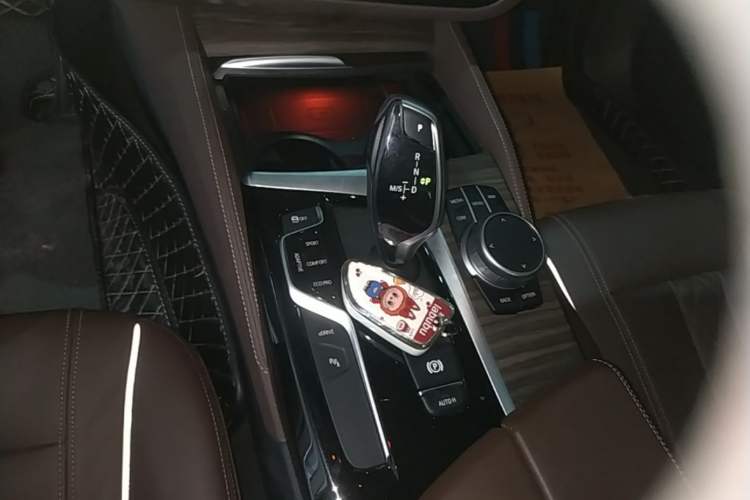 Used BMW 5 Series New Energy 2020 Mileage Upgrade Version 530Le Luxury Package Gear Lever