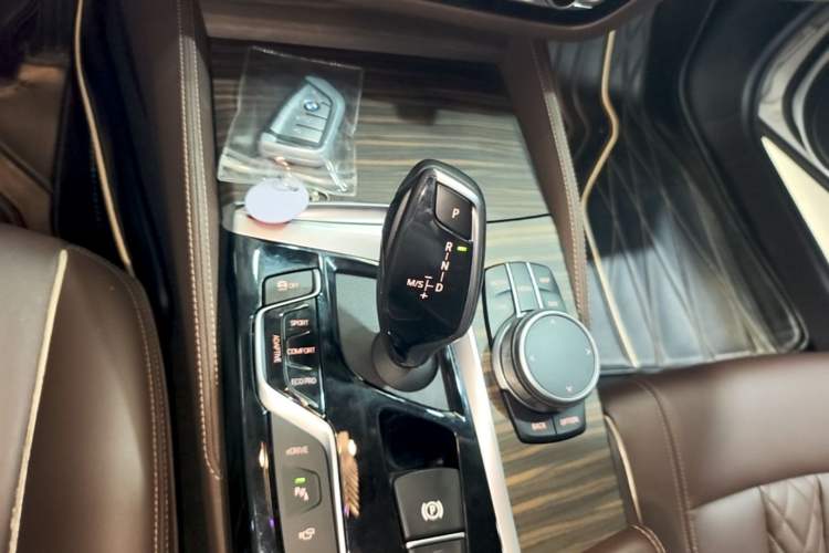 Used BMW 5 Series New Energy 2020 Mileage Upgrade Version 530Le Luxury Package Gear Lever