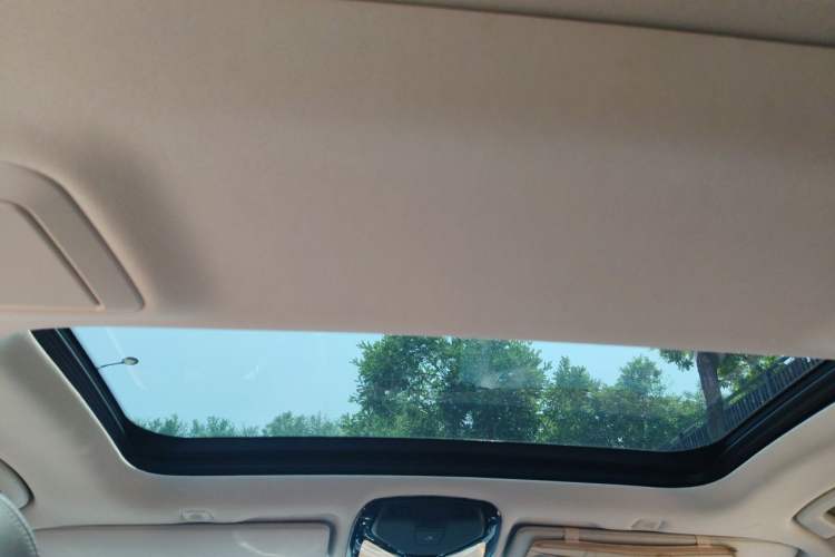 Used BMW 5 Series New Energy 2020 530Le Luxury Package Headliner