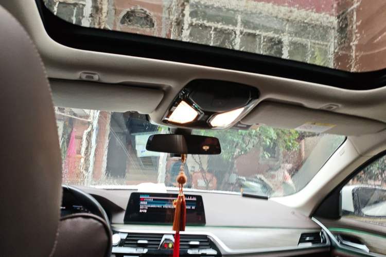 Used BMW 5 Series New Energy 2020 530Le Luxury Package Headliner