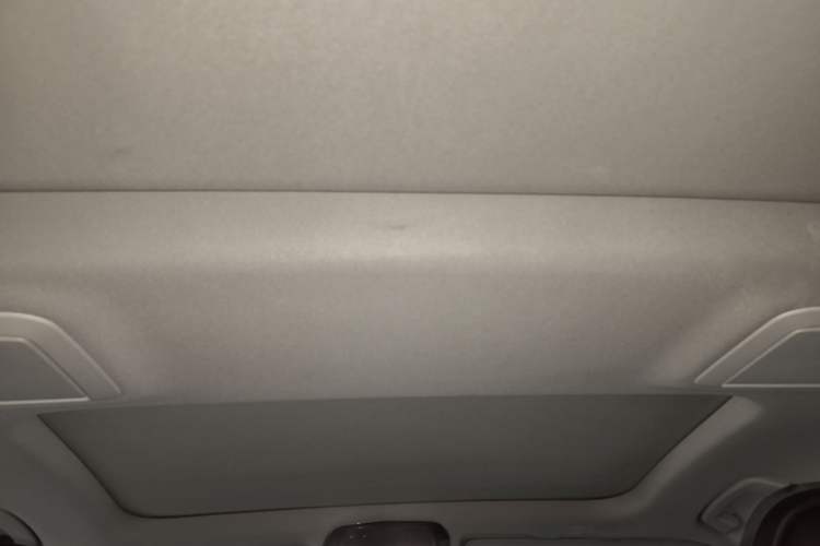 Used BMW 5 Series New Energy 2020 Mileage Upgrade Version 530Le Pioneer Edition Headliner
