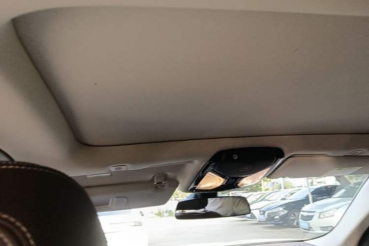 Used BMW 5 Series New Energy 2020 530Le Luxury Package Headliner
