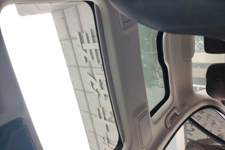 Used BMW 5 Series New Energy 2020 530Le Luxury Package Headliner