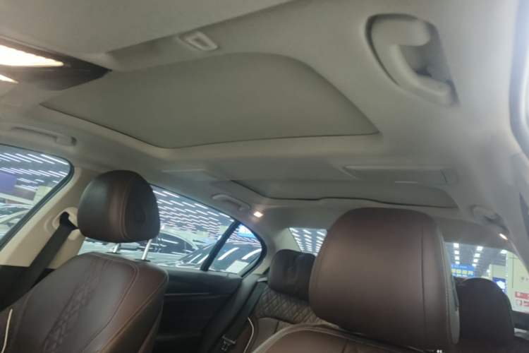 Used BMW 5 Series New Energy 2020 Mileage Upgrade Version 530Le Luxury Package Headliner