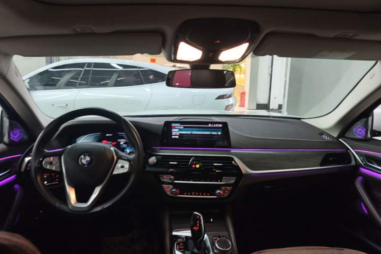 Used BMW 5 Series New Energy 2020 530Le Luxury Package Headliner
