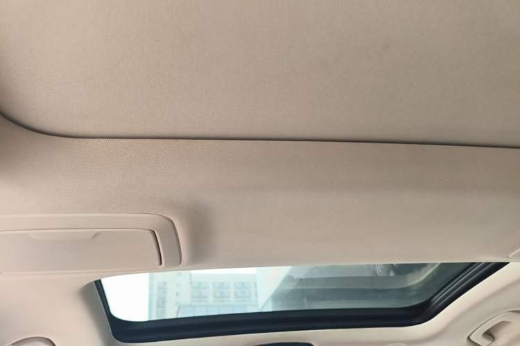 Used BMW 5 Series New Energy 2020 530Le Luxury Package Headliner