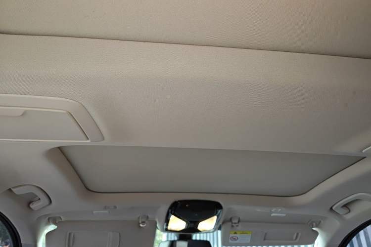 Used BMW 5 Series New Energy 2020 Mileage Upgrade Version 530Le Luxury Package Headliner