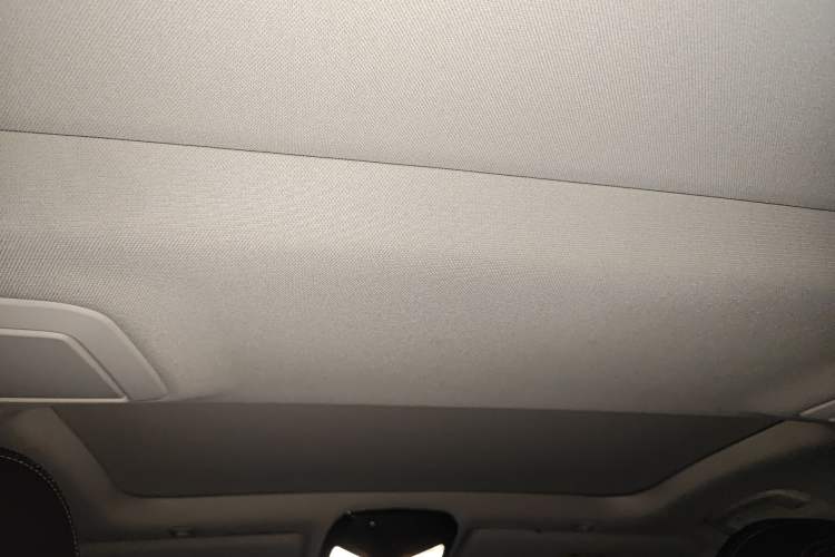 Used BMW 5 Series New Energy 2020 Mileage Upgrade Version 530Le Luxury Package Headliner