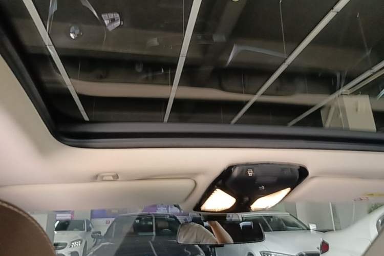 Used BMW 5 Series New Energy 2020 Mileage Upgrade Version 530Le Luxury Package Headliner
