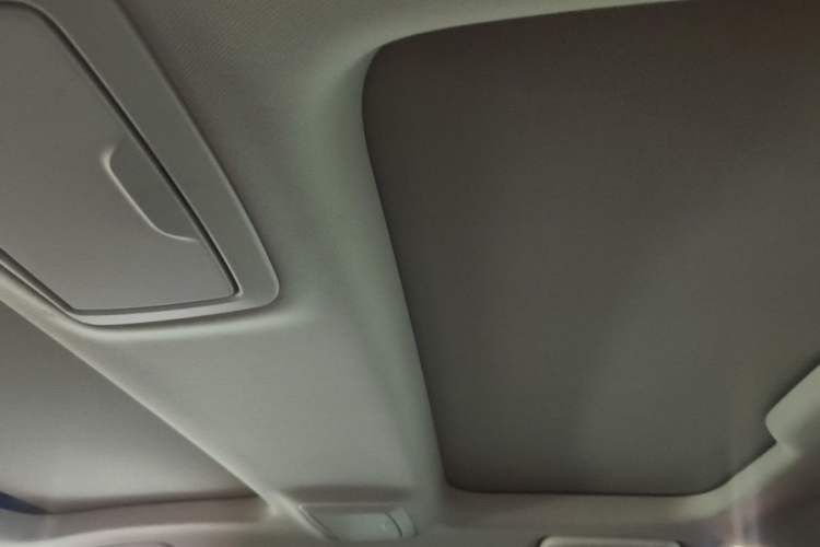 Used BMW 5 Series New Energy 2020 530Le Luxury Package Headliner
