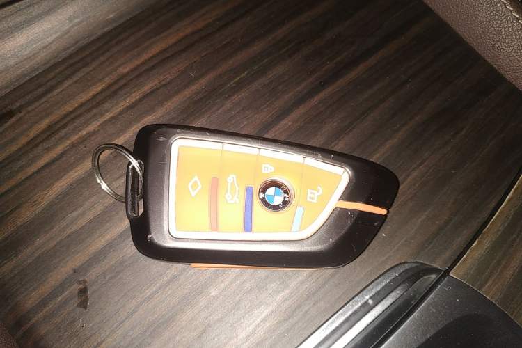 Used BMW 5 Series New Energy 2020 530Le Luxury Package Interior 1