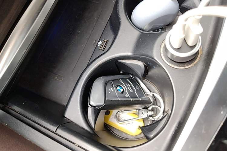 Used BMW 5 Series New Energy 2020 Mileage Upgrade Version 530Le Luxury Package Interior 1