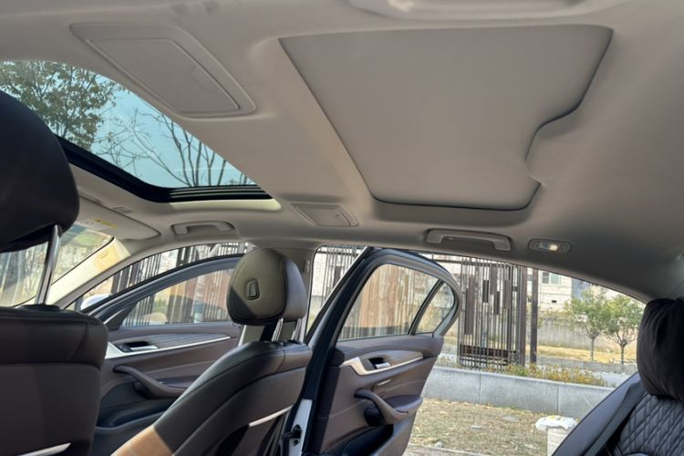 Used BMW 5 Series New Energy 2020 530Le Luxury Package Interior 4
