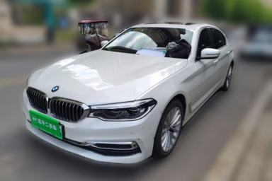 Used BMW 5 Series New Energy 2020 Mileage Upgrade Version 530Le Luxury Package