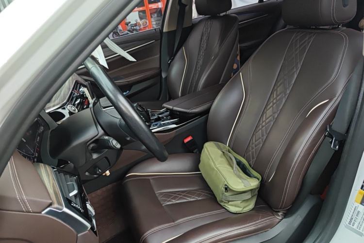 Used BMW 5 Series New Energy 2020 Mileage Upgrade Version 530Le Luxury Package Left Front Seat