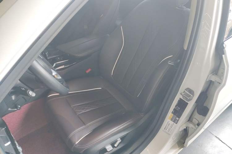 Used BMW 5 Series New Energy 2020 Mileage Upgrade Version 530Le Luxury Package Left Front Seat