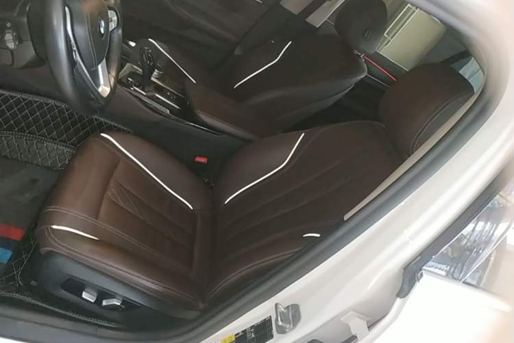 Used BMW 5 Series New Energy 2020 Mileage Upgrade Version 530Le Luxury Package Left Front Seat